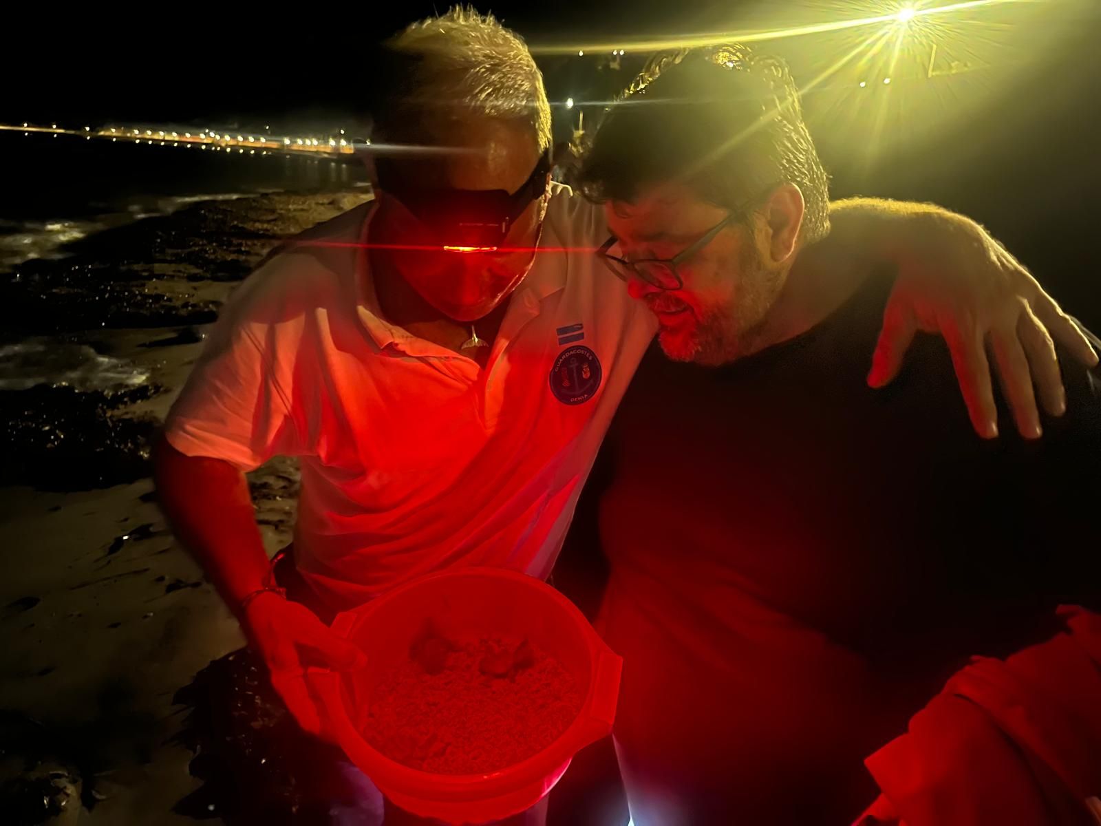 El milagro de la vida en una playa de Dénia: las imágenes del nacimiento de 98 tortugas
