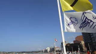 Las medusas regresan a Gijón y obligan a cerrar el baño en la playa de San Lorenzo