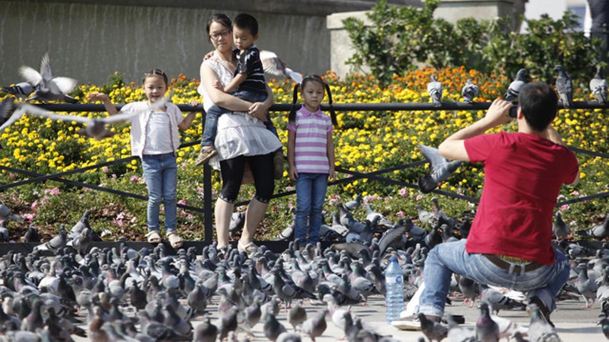 Turistas con las palomas de la plaza de Catalunya de Barcelona.