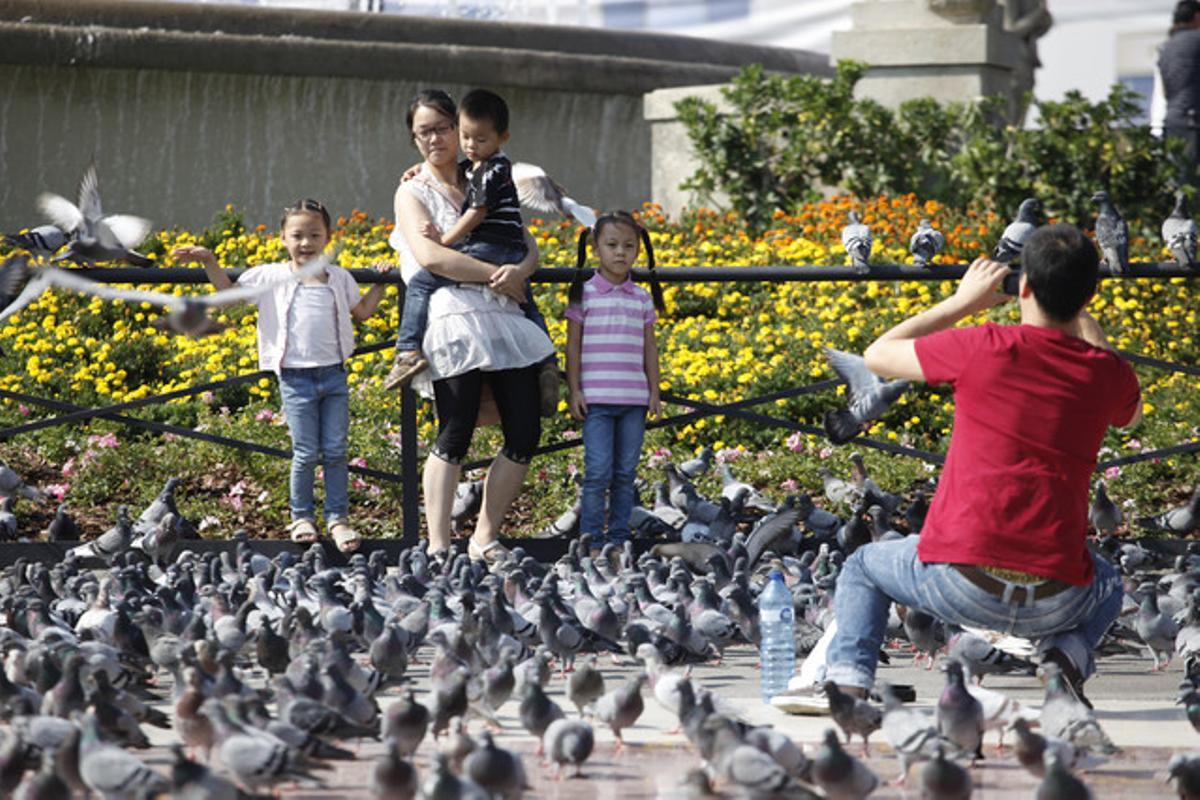 Turistes amb els coloms de la plaça de Catalunya de Barcelona.