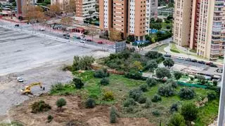 Benidorm crea un parking gratuito para más de 200 coches en los terrenos de un antiguo minigolf abandonado en el Rincón