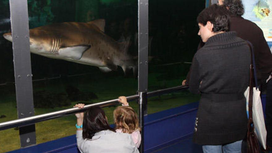 Las instalaciones del acuario de Punta Moreiras, en O Grove.  //  Muñiz