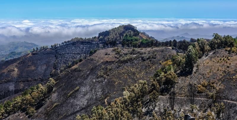 Consecuencias del incendio: De Valleseco a Artenar