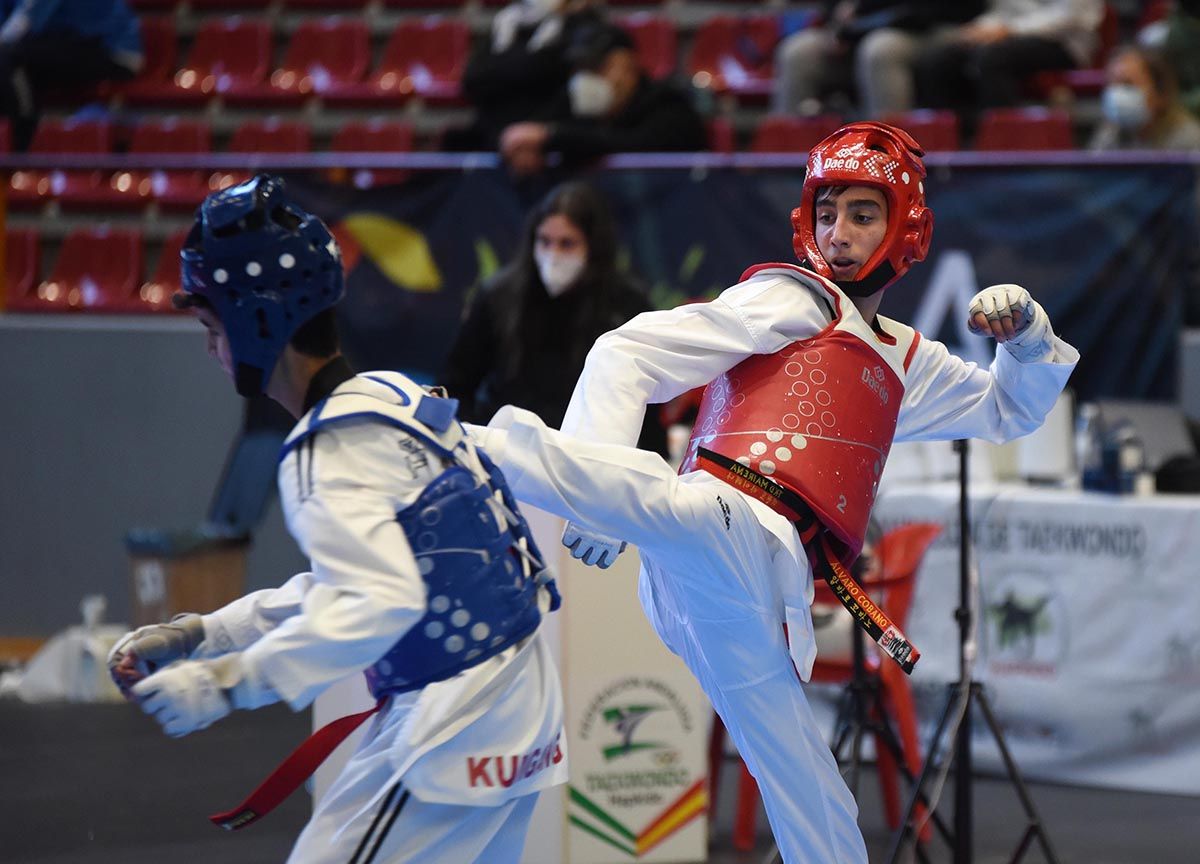 Open Internacional de Taekwondo de Córdoba en imágenes