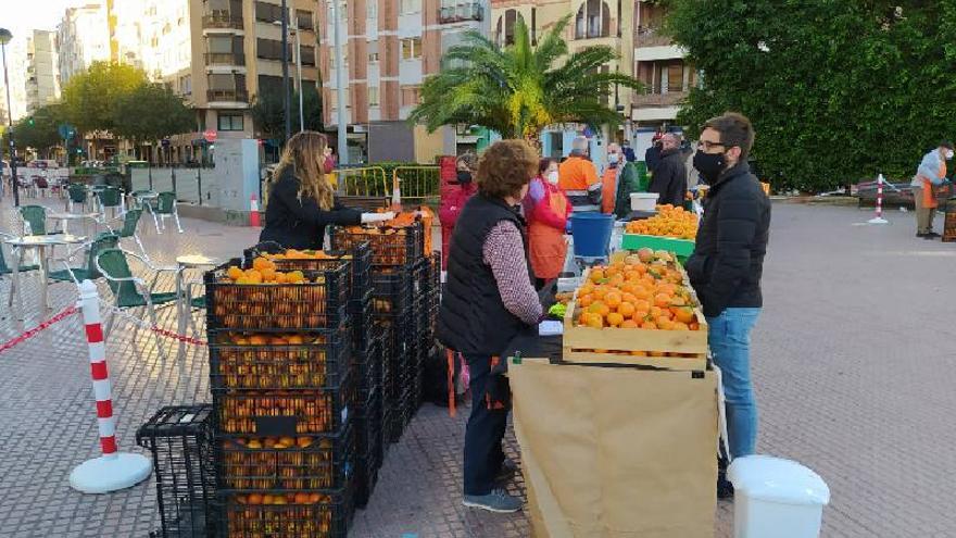 L&#039;Ajuntament entregarà a les productores i productors participantes en la Fira de la Taronja noves bosses ecològiques.