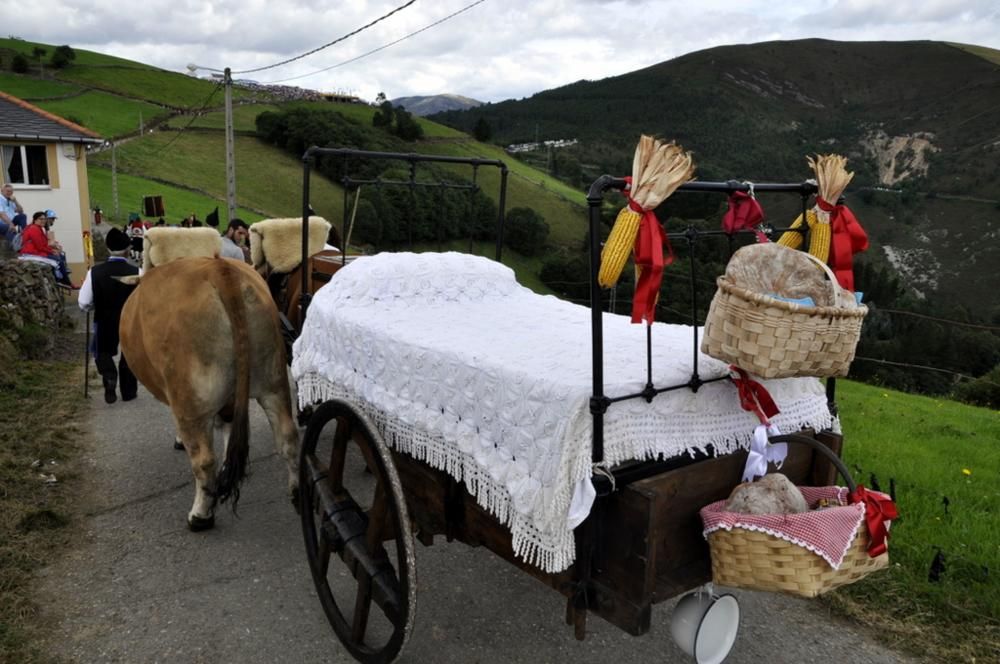 Boda vaqueira