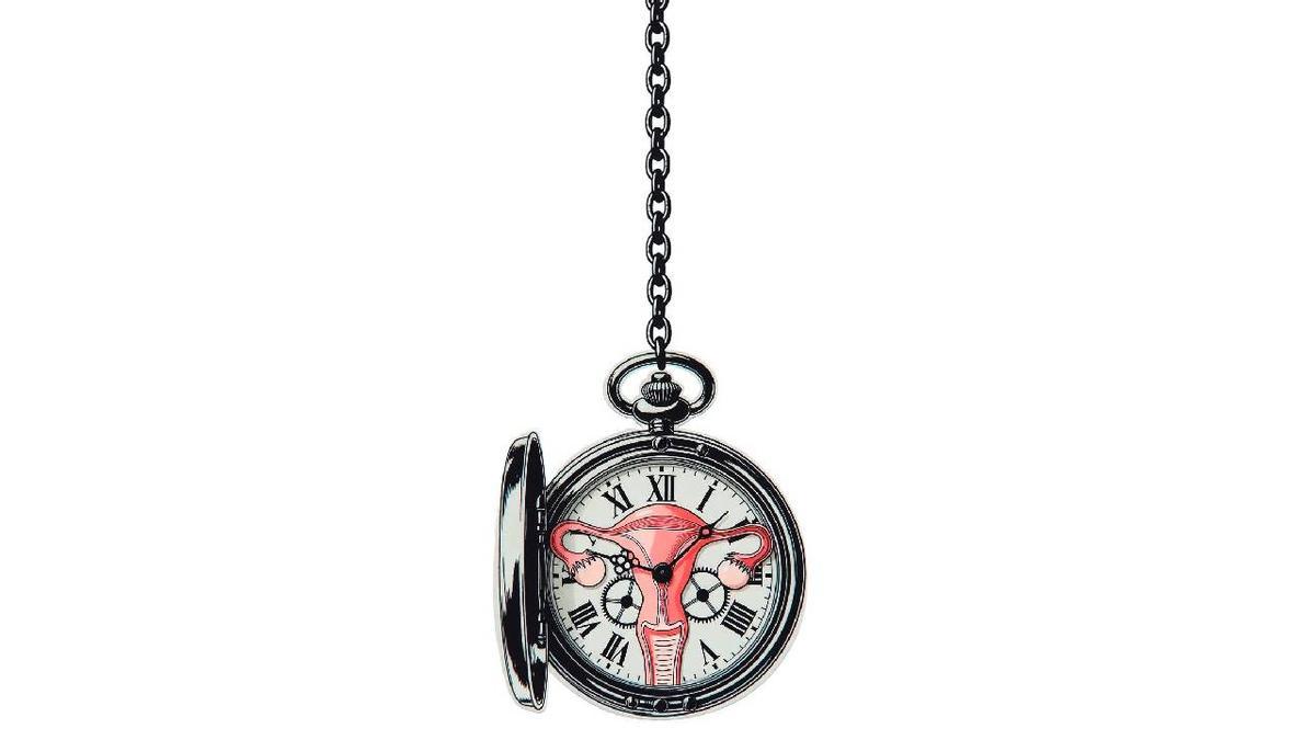 Madres tardías y conejos blancos