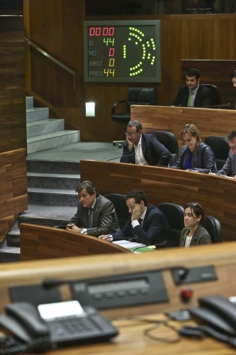 Debate de orientación política en la Junta del Principado