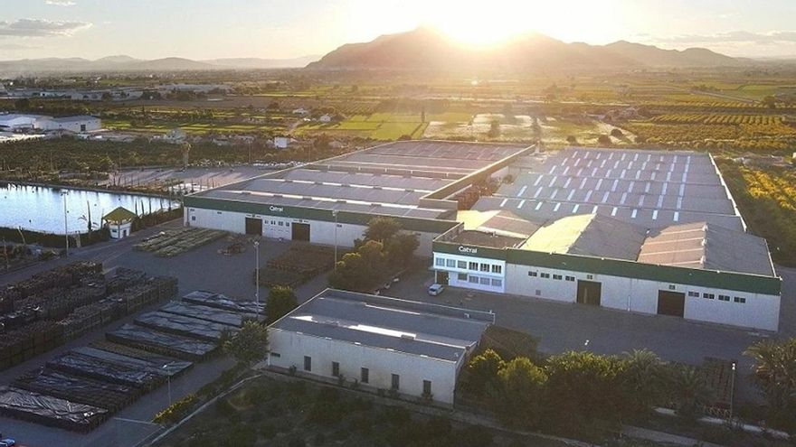 Catral Group asume el personal de Nortene y consuma su absorción tras un proceso de dos años