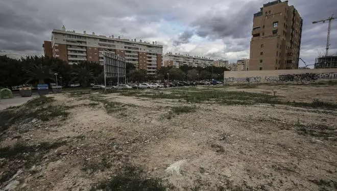 Empate a puntos entre las dos empresas que aspiran a edificar 133 VPO en La Condomina