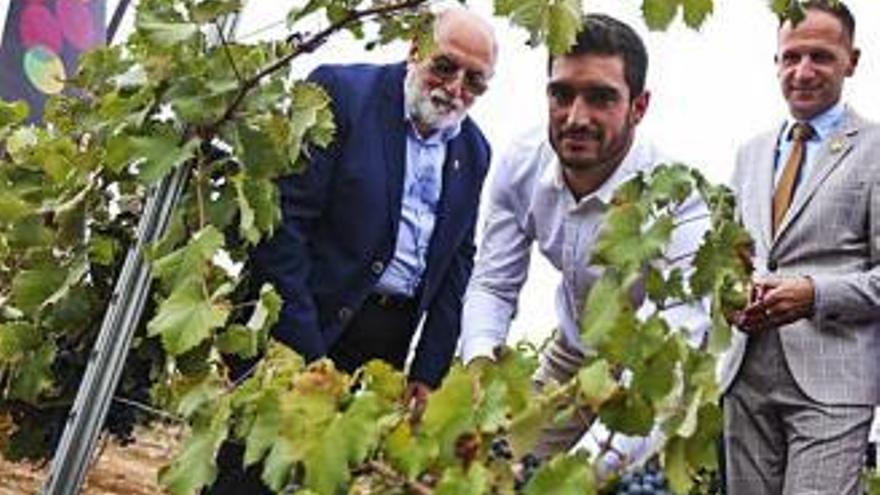 L&#039;atleta en el tall simbòlic del primer ram al costat del president de Vins Alacant i a l&#039;alcalde del Pinós.