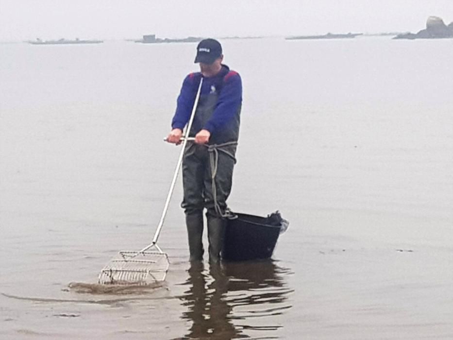 El marisqueo regresa a la ría.