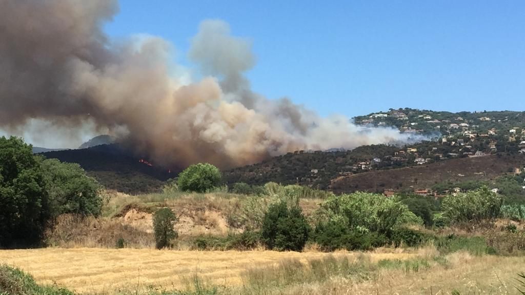 Incendi forestal a Castell d'Aro