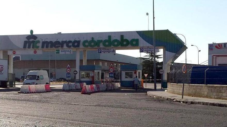 El consejo de administración de Mercacórdoba aprueba congelar las tarifas a mayoristas