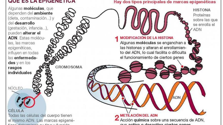 Mil variedades de sangre