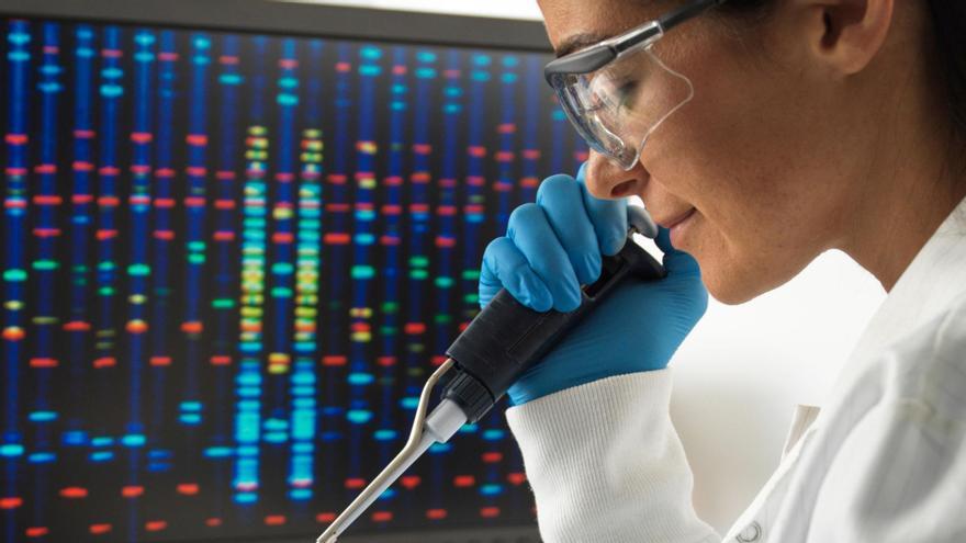 Nuevo avance en bioimagen: Investigadores de Málaga crean un nuevo método que permite observar mejor las células vivas