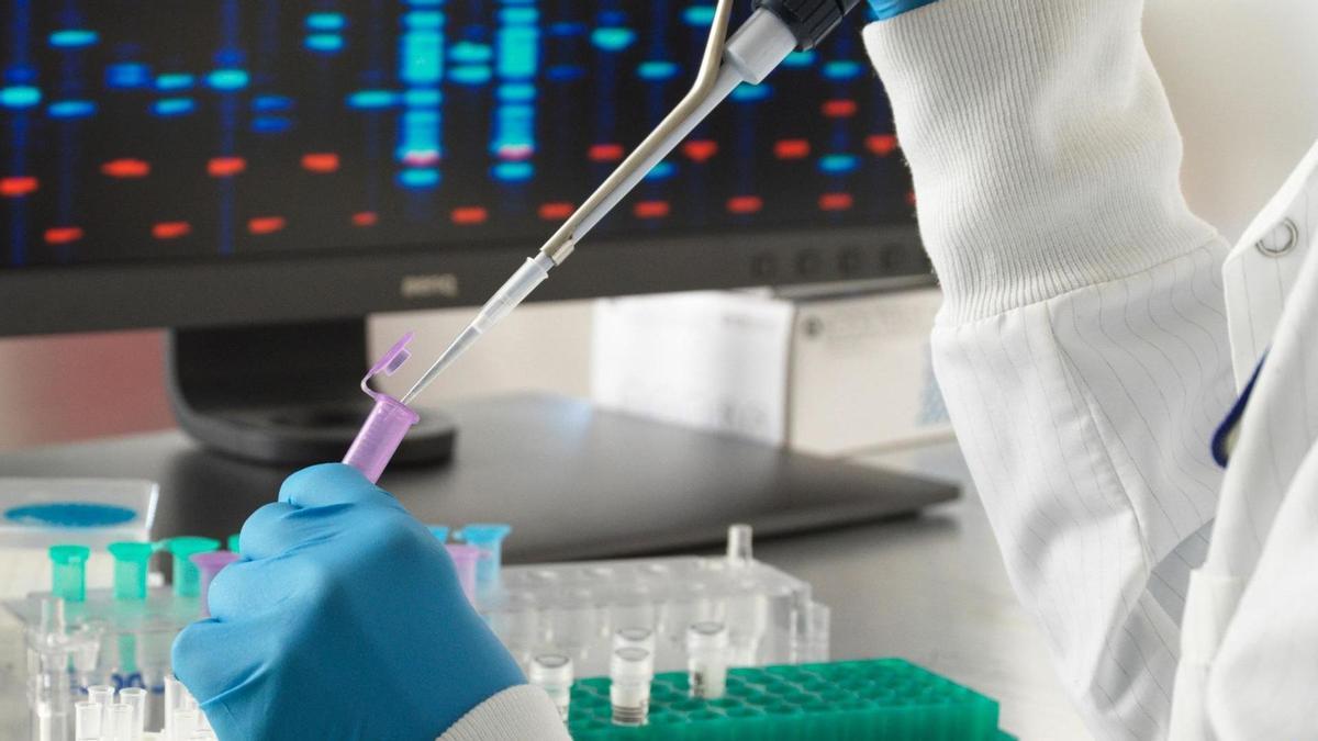 Un nuevo avance en bioimagen permite estudiar mejor las estructuras internas de las células vivas