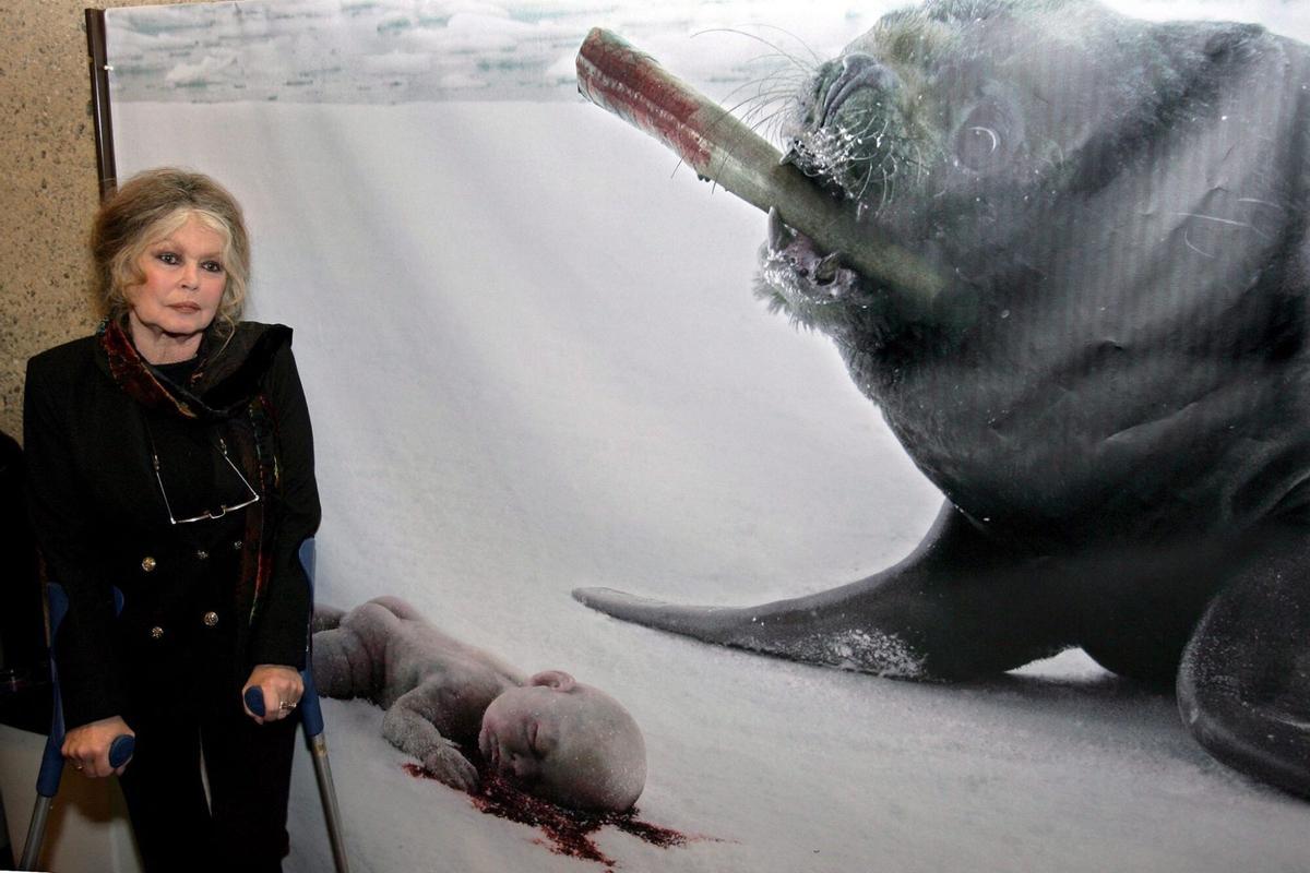 La vida de Brigitte Bardot, en imágenes