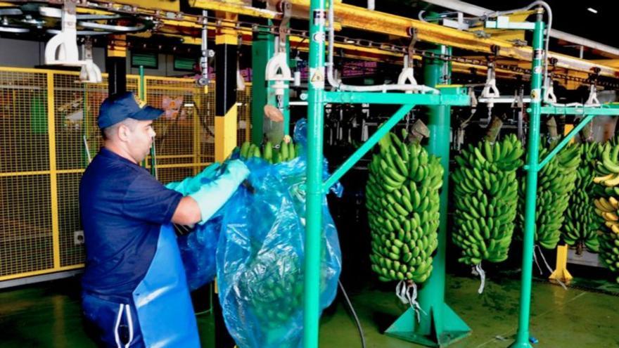 Instalaciones de una cooperativa.