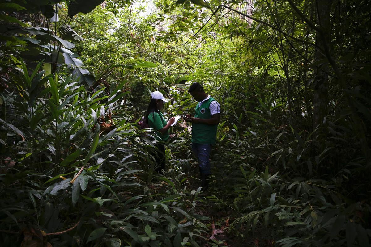 Dos guardas forestales en la amazonía colombiana.