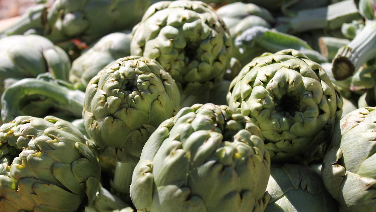 Campaña de Alcachofa Vega Baja que pone en valor el trabajo del sector de la alcachofa que emplea a 7.000 personas en la comarca