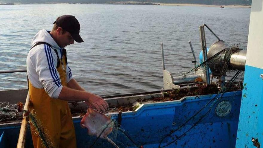 Un marinero captura una raya con &#039;miños&#039;.