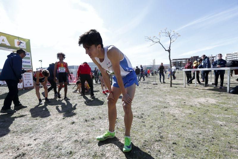 Campeonato de España de cross