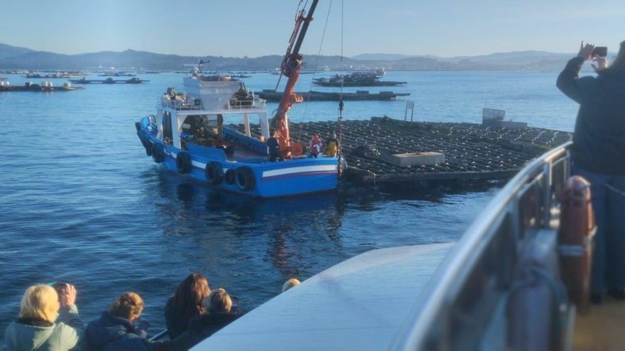 El control europeo de los alimentos del mar se prepara en Arousa