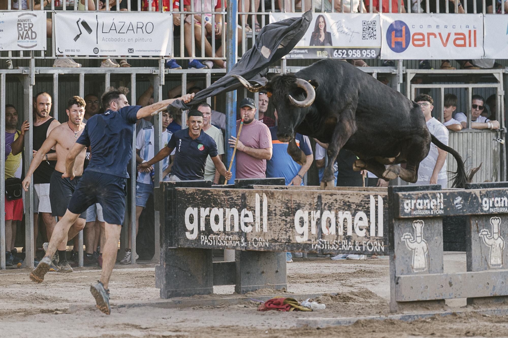 Detalles del paso de Laura Parejo por el concurso de ganaderías de la Vall d&#039;Uixó