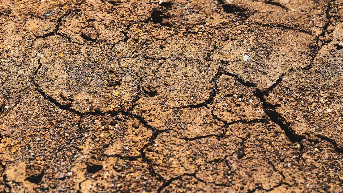 Criaturas marinas muertas de millones de años podrían desempeñar un papel relevante en el próximo gran terremoto en Nueva Zelanda.