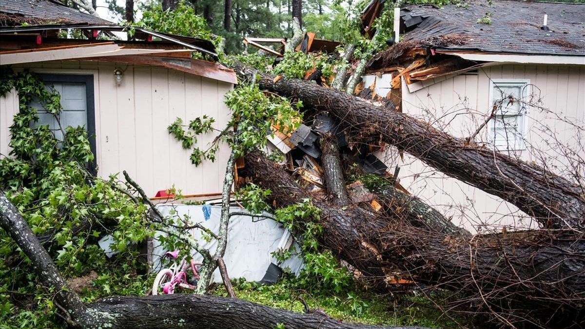 Una casa aplastada por árboles arrancados por el huracán, en Columbia.