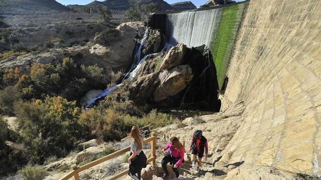 El Pantano de Elche, lugar que el Ayuntamiento aspira a reconocer como Paraje Natural Municipal. | MATÍAS SEGARRA