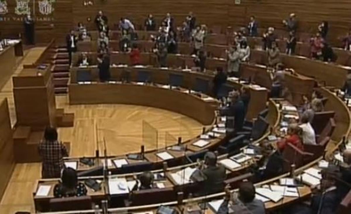 Captura del canal parlamentario de los diputados del Botànic puestos en pie