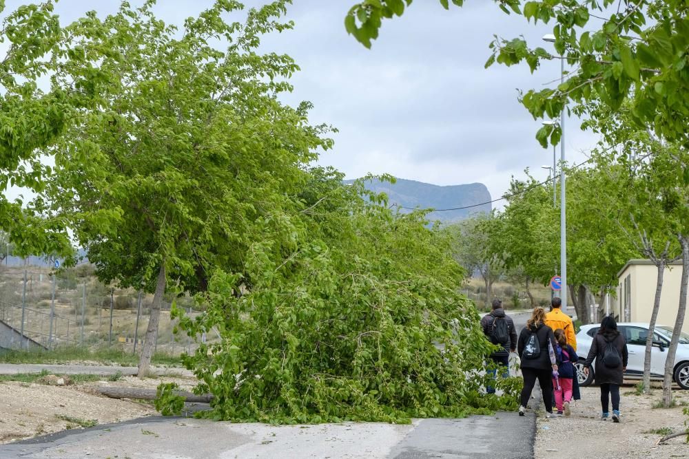 Consecuencias de la lluvia en Elda