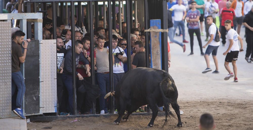 Toros y homenaje a la Tercera Edad en las fiestas de Vila-real