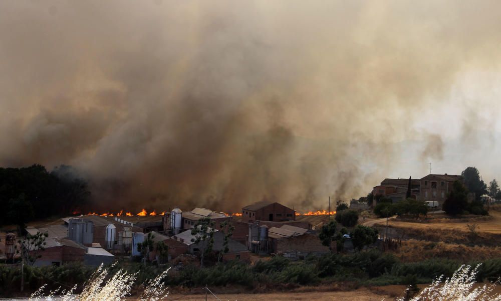 Incendi forestal a Sant Fruitós de Bages