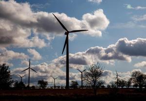 El Govern tornarà a intentar atraure el petit productor en una nova subhasta renovable