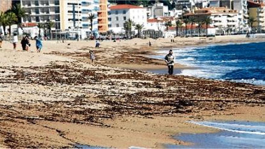El darrer temporal ha deixat les platges de Blanes sense sorra en diversos trams.