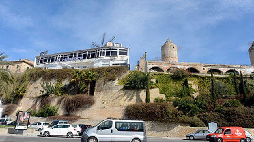 Malerisch, aber verkommen: das Mühlenviertel Es Jonquet in Palma, vom Paseo Marítimo aus gesehen.