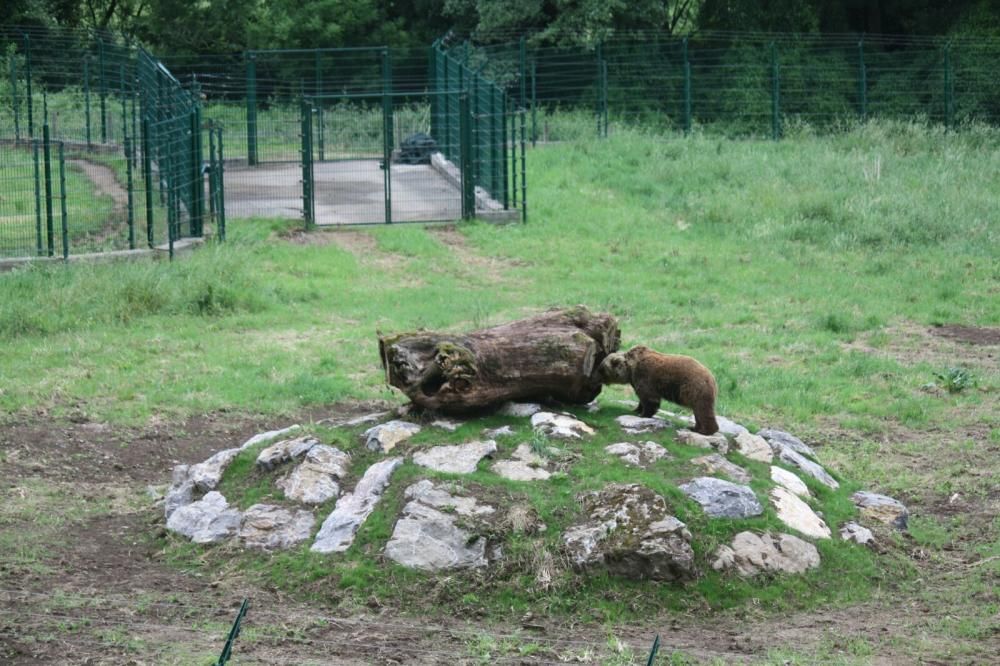 Un parque de atracciones para "Paca" y "Tola"