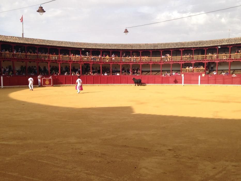 Fiestas Toro- concurso de jóvenes cortadores