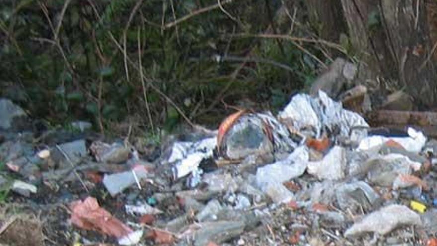 Basura acumulada en un monte de Navia.