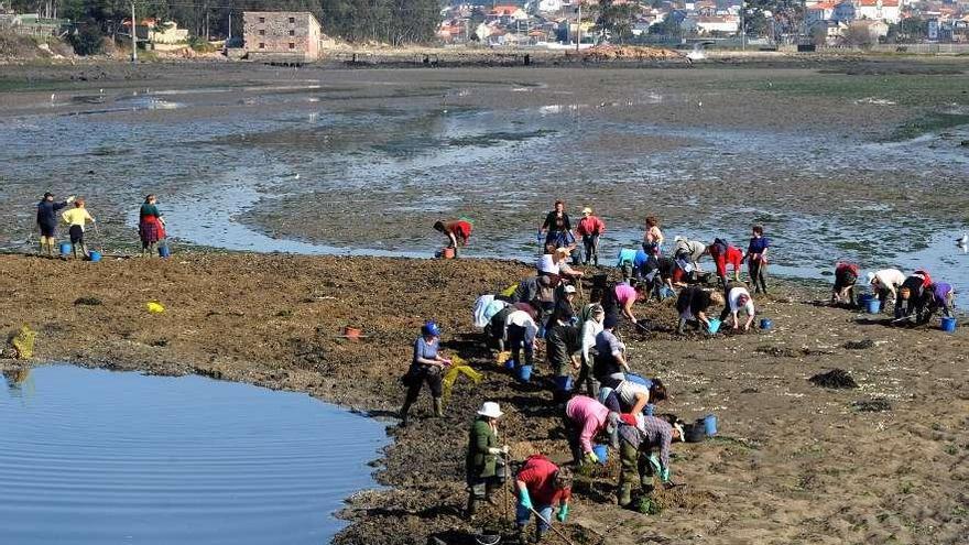 Las mariscadoras siguen sin poder extraer el marisco de O Saco por ser Zona C. // Iñaki Abella