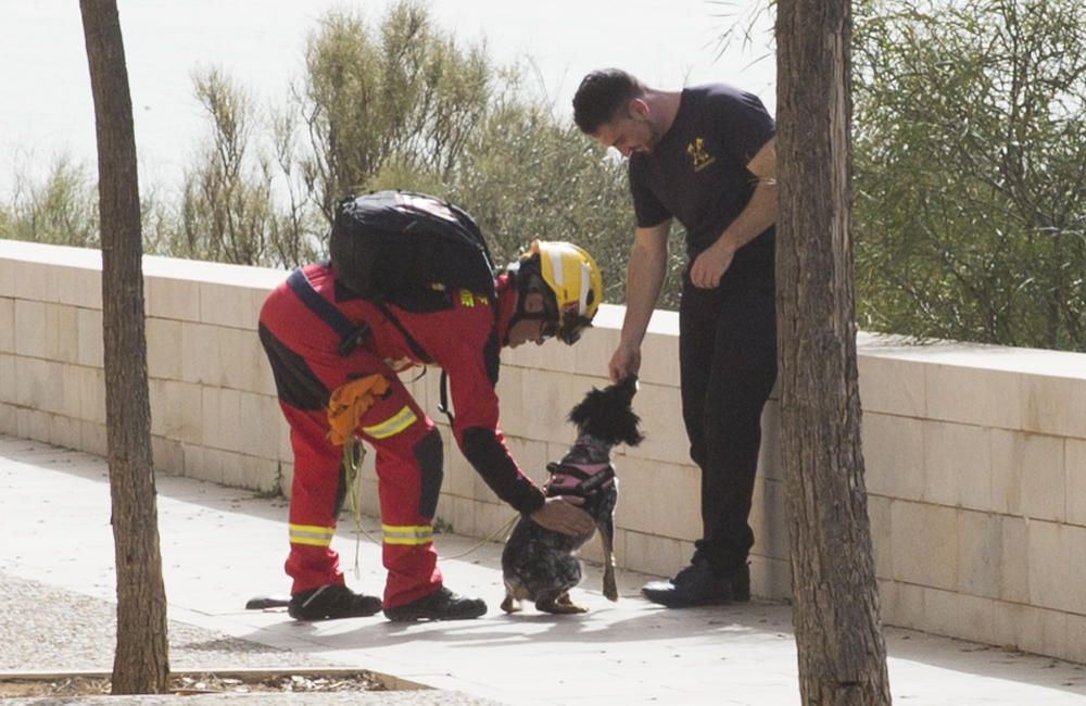 Casi medio centenar de efectivos participan en unas prácticas en la ladera del monte, donde se ha simulado un rescate en altura