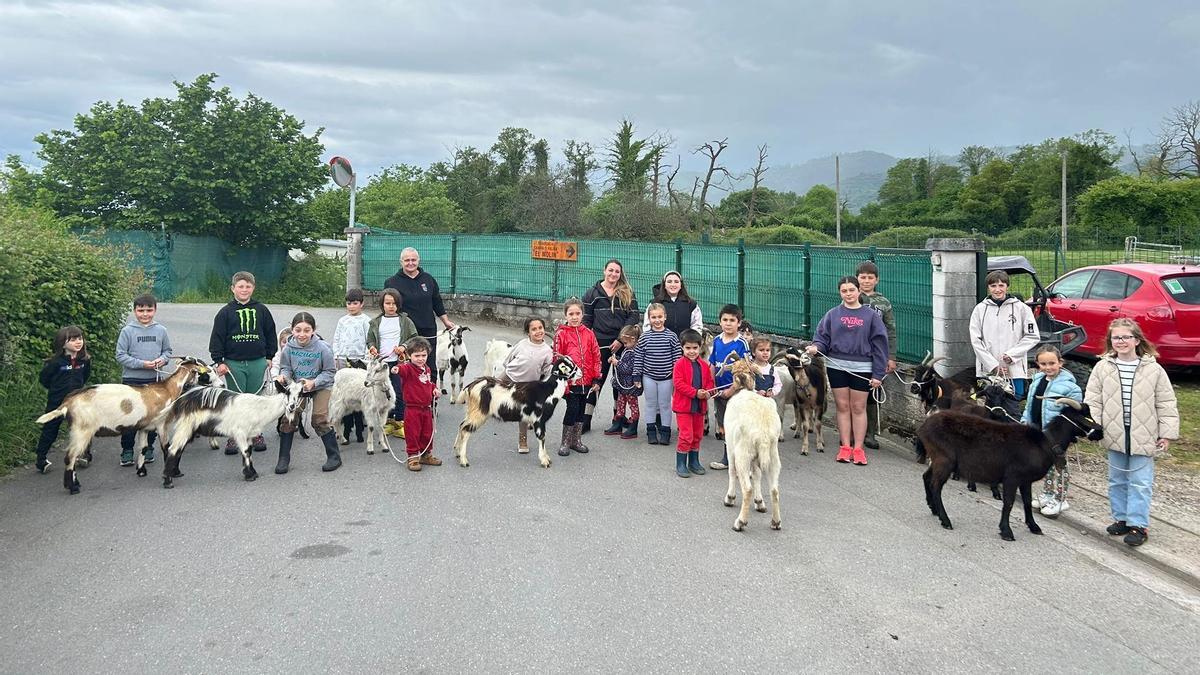 Ensayo con cabras de los “pequemanejadores” de Llanera, para el desfile de San Isidro