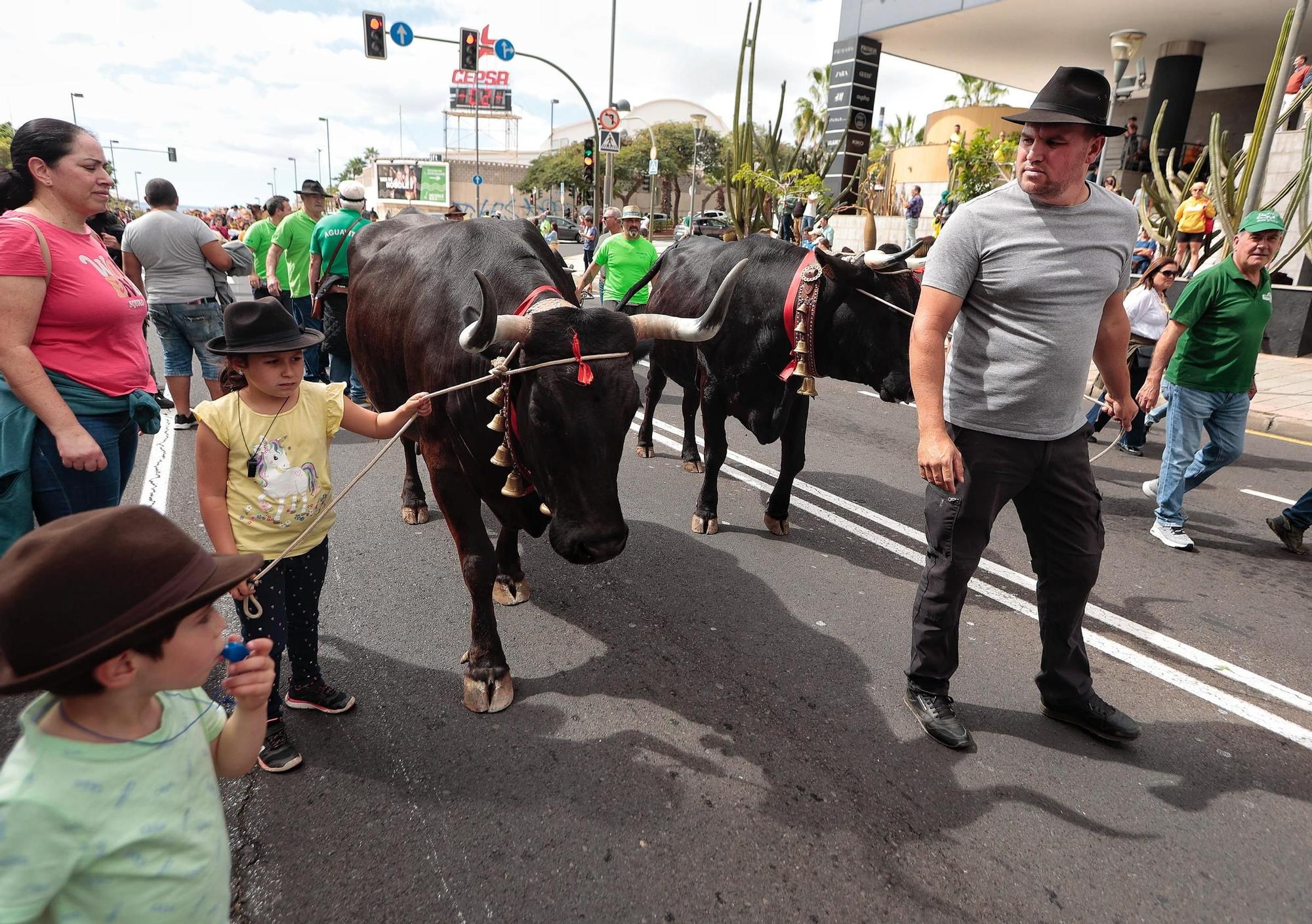 El sector agrario protesta en las calles de Santa Cruz