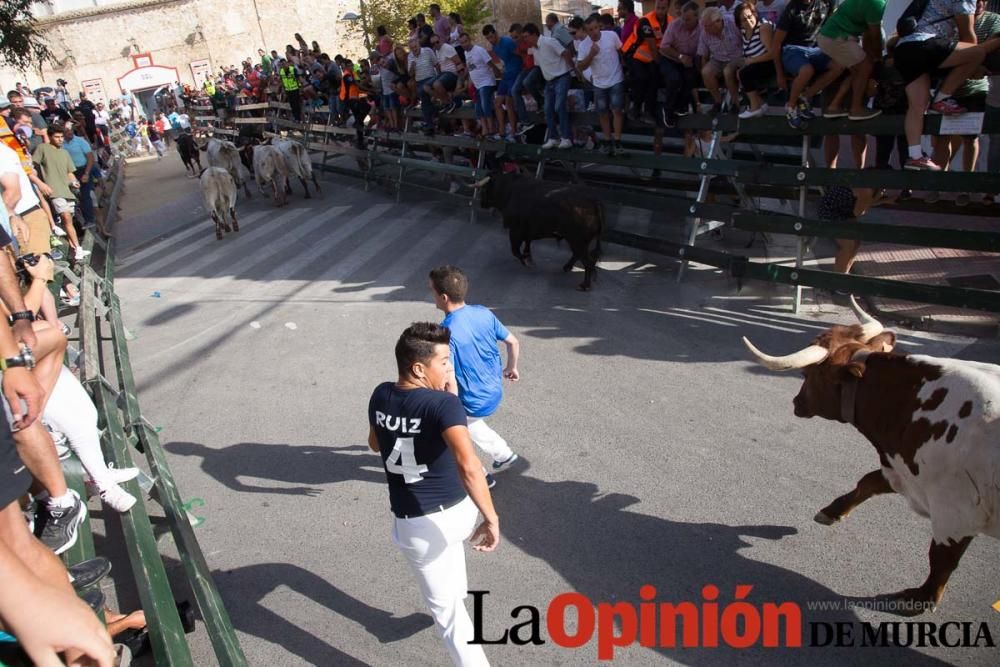 Segundo encierro de Calasparra