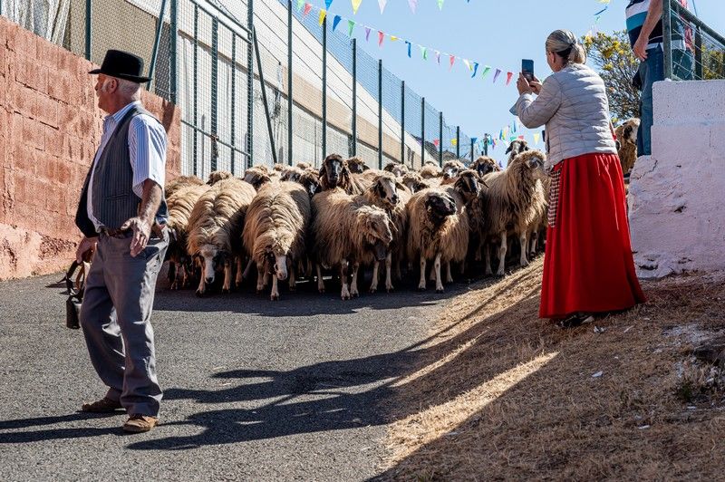 Fiesta de la Lana en Caideros 2022