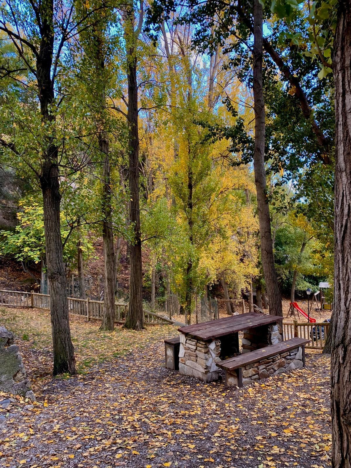 Grupo de senderistas en la Sierra de Los Fialbres.