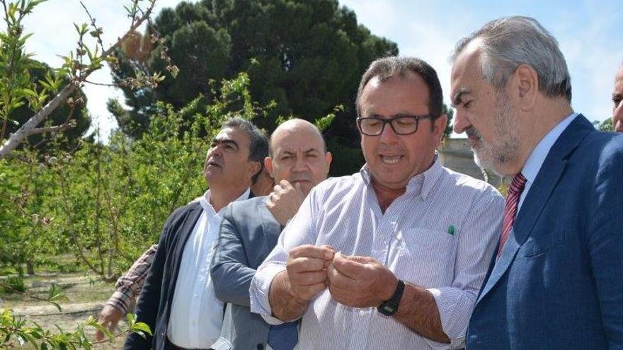 Tovar y Navarro, junto a Lucas en los campos de Cieza